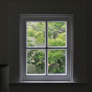 WINDOW CLEANING