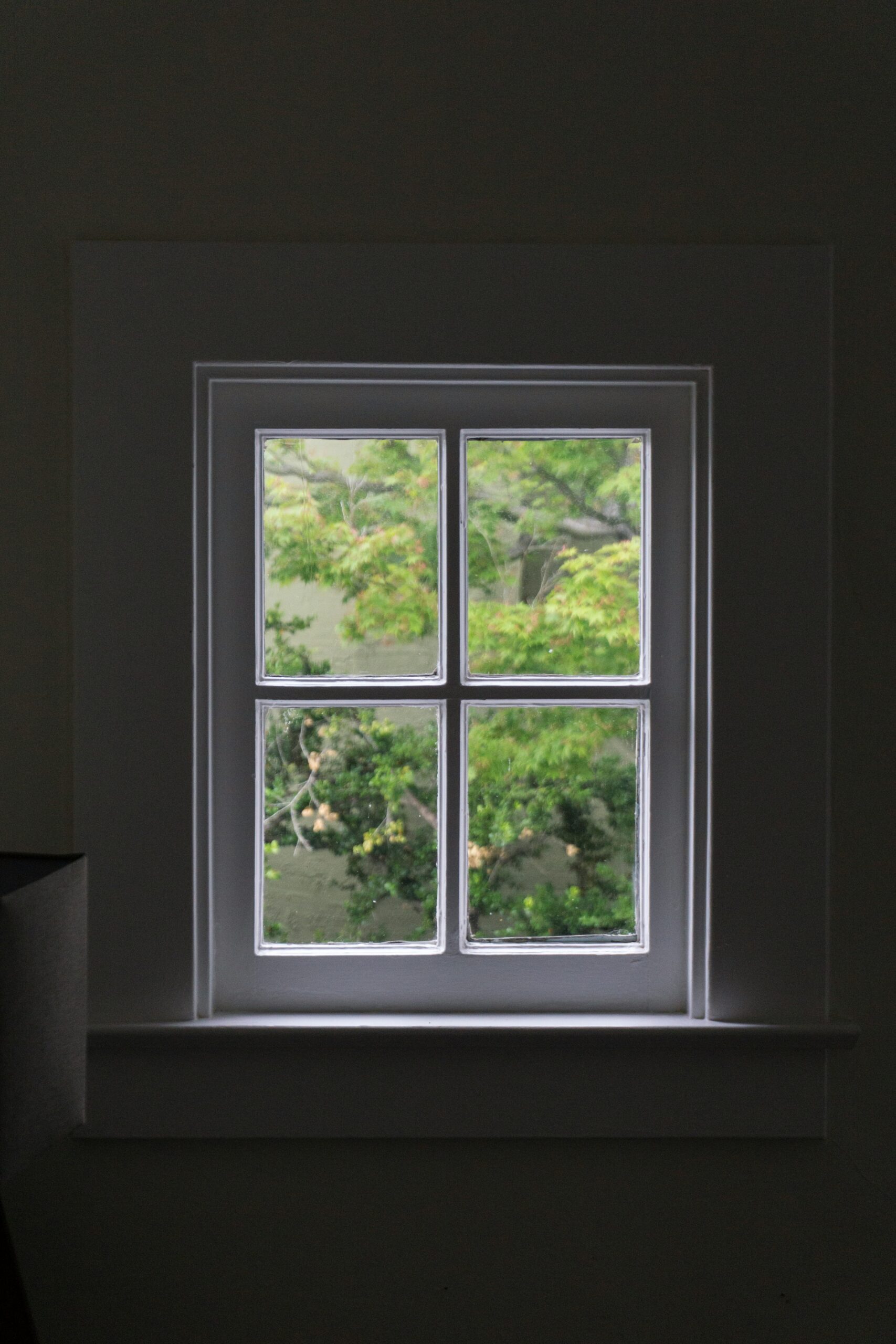 WINDOW CLEANING
