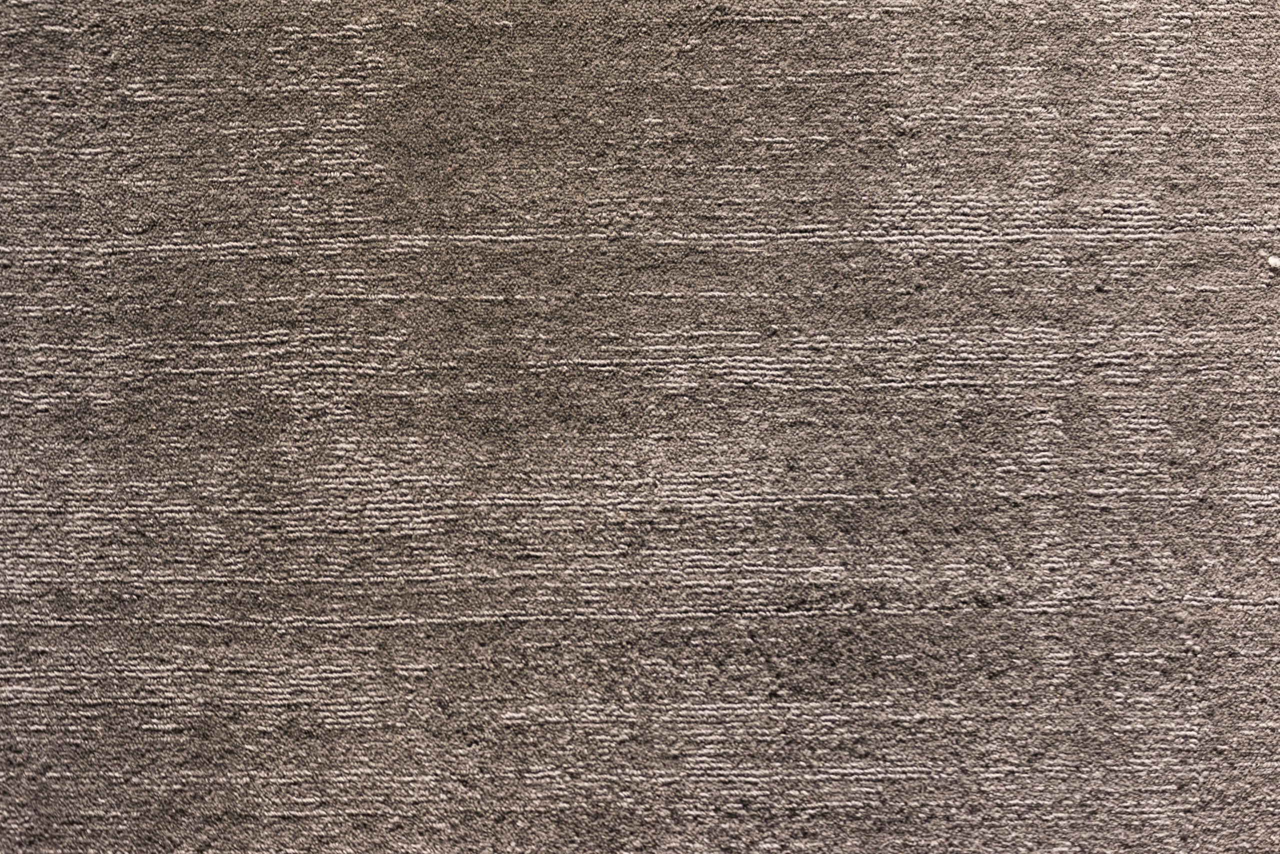 CARPET CLEANING